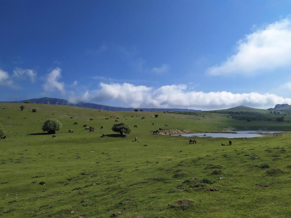 Casa Rural Ulibarri Allo Eksteriør billede